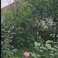 یک هکتار  ملک روستایی  همراه با بنا لاهیجان|فروش زمین و ملک کلنگی|لاهیجان, بوجایه|دیوار