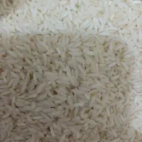 برنج هاشمی صدری(زرد دم) گیلان|خوردنی و آشامیدنی|تهران, بهداشت|دیوار