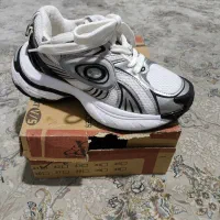 کفش سایز 41|کیف، کفش، کمربند|اندیشه, اندیشه فاز ۲|دیوار