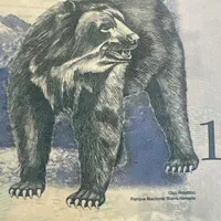 اسکناس ۱۰۰۰۰ بولیوار کشور ونزولا|کلکسیون سکه، تمبر، اسکناس|تهران, فلسطین (میدان انقلاب)|دیوار