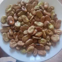 باقله بری مصرف و کاشت