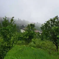 ۷۰۰۰ متر زمین سند دار تفکیک شده با پروانه ساخت|فروش زمین و ملک کلنگی|مرزیکلا, |دیوار