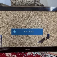 تلفزیون|تلویزیون و پروژکتور|قشم, |دیوار