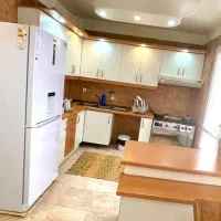 اجاره روزانه آپارتمان مبله دوخواب شیک ونک /شمال|اجارهٔ کوتاه‌مدت آپارتمان و سوئیت|تهران, ده‌ونک|دیوار