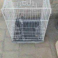 قفس کاسکویی|لوازم جانبی حیوانات|کاشان, امام خمینی|دیوار