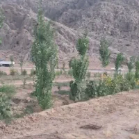 ۲۰۰۰متر باغ|فروش زمین و ملک کلنگی|سیدان, |دیوار