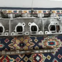 سرسیلندرنیسان کانگرونشان