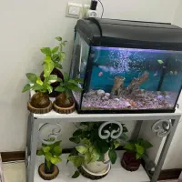 آکواریوم با همه ی تجهیزات