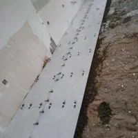 سرامیک و سیمانکاری