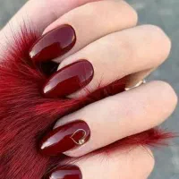 مدل کاشت|خدمات آرایشگری و زیبایی|شیراز, قلعه نو|دیوار