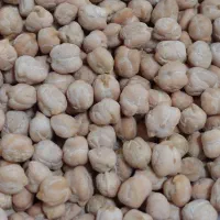 نخود پاک شده ،تمیز|خوردنی و آشامیدنی|اسدآباد, |دیوار