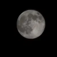 ادمین اینستاگرامی و فروشنده