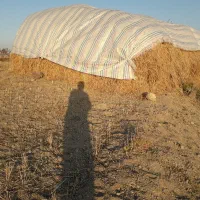 فروش یونجه درمشگین شهر