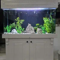 اکواریوم شیشه خم