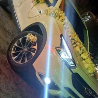 سفارشات انلاین گل آرایی با سابقه بالا .|خدمات پذیرایی، مراسم|مرودشت, پشت سایپا|دیوار