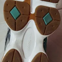 کفش|کیف، کفش، کمربند|تبریز, |دیوار