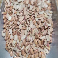 لوبیا چیتی لپه ای زیرقیمت بازار هم کیلویی هم عمده