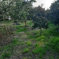 زمین مسکونی باغی|فروش زمین و ملک کلنگی|خوش‌رودپی, |دیوار