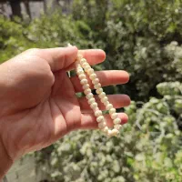 تسبیح استخوان شتر