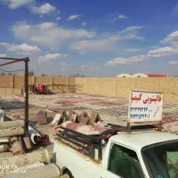 قالیشویی ومبل شویی کیمیا