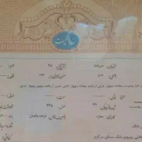 ۲۸ متری .. تختی شمالی