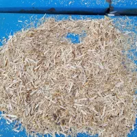 کاه کوبیده گندم.خارشتر. .کمل شالی.سبوس|لوازم جانبی حیوانات|گنبد کاووس, |دیوار