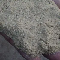 سلام سبوس برنج یا آکوته دانه دار محصول امسال هست