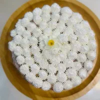 کیک های کافیشاپی و چیز کیک های خانگی