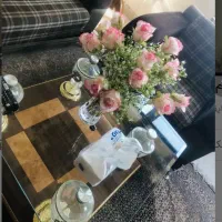 هم خانه پزشکی|اجارهٔ آپارتمان|زنجان, |دیوار