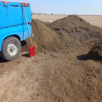 کود حیوانی