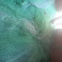 دو عدد طور محاصری یک عدد رشته ای یک عدد نخ ای