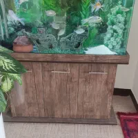 اکواریوم شیشه خم