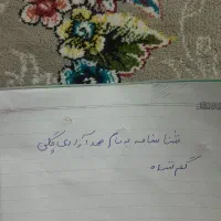 سجلد گم شده