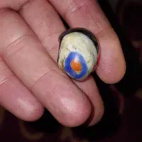 سکه ومهره|کلکسیون سکه، تمبر، اسکناس|ورامین, شهرک مدرس|دیوار