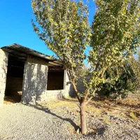 باغ با بنا (انواع درختان میوه بارده )|فروش زمین و ملک کلنگی|اسلامشهر, شهرک احمدیه|دیوار