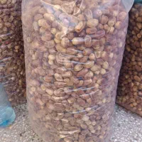 خرمای زاهدی