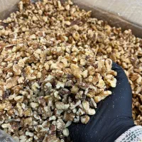 دندانه گردو امسالی مناسب قنادها|عمده‌فروشی|مشهد, سرافرازان|دیوار