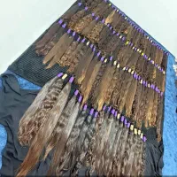 خریدار مو طبیعی سالم ونسوخته|خدمات آرایشگری و زیبایی|پرند, فاز ۱|دیوار