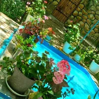 اجاره روزانه سوییت  برای خانواده.کپشن مطالعه شود|اجارهٔ کوتاه‌مدت آپارتمان و سوئیت|خوانسار, |دیوار