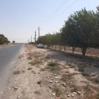 فروش-زمین-زراعی