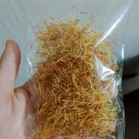 ریشه زعفران