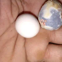 فروش سنگ قیمتی