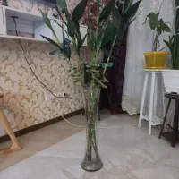 گل بامبو۵عددبا گلدان|گل مصنوعی|تهران, قاسمآباد|دیوار