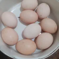 تخم‌مرغ‌لاری