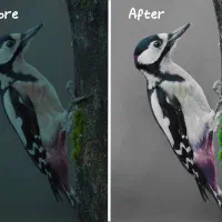 انجام تمامی خدمات کامپیوتری و فتوشاپ