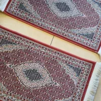 پادری پاتربس یک جفت نوی نو