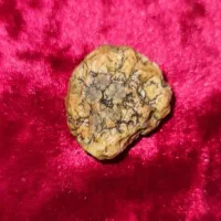 زوعه کهنه و قدیمی