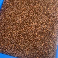 فروش قهوه عمده مستقیم از رستری