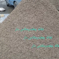 خوراک گاو گوساله