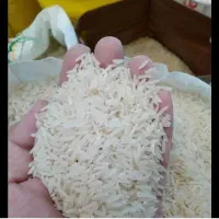 برنج طارم هاشمی